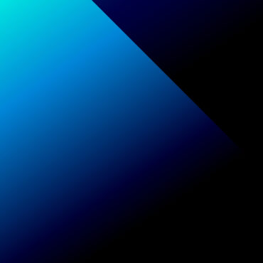 Interim Management Interim Management