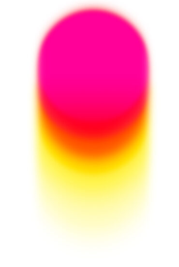 organisation organisation